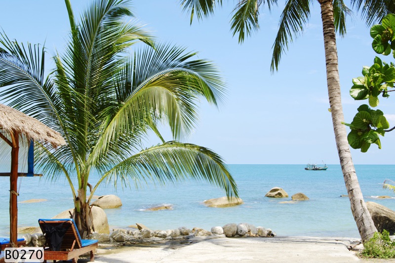Tranh Dán Tường Đà Lạt
