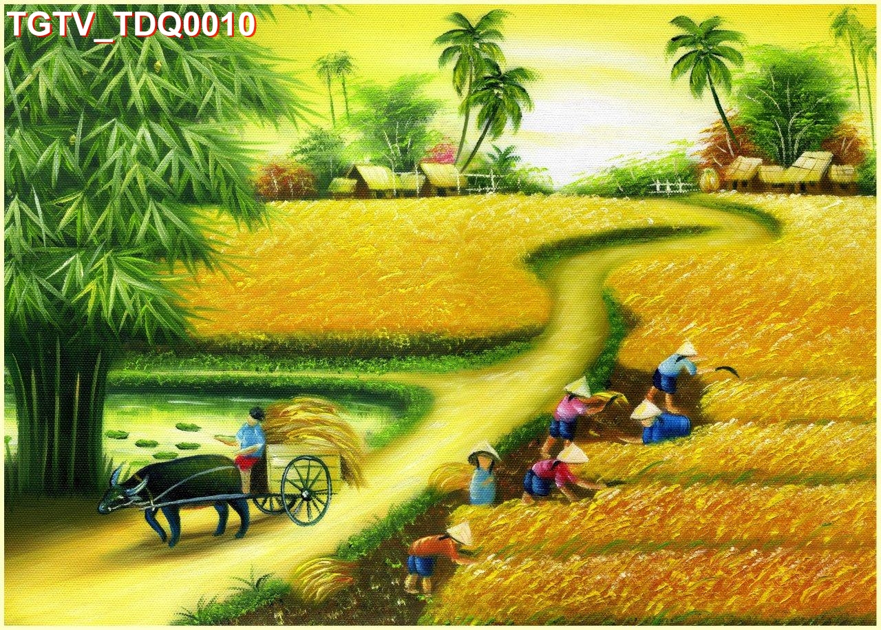 TGTV_TDQ0010