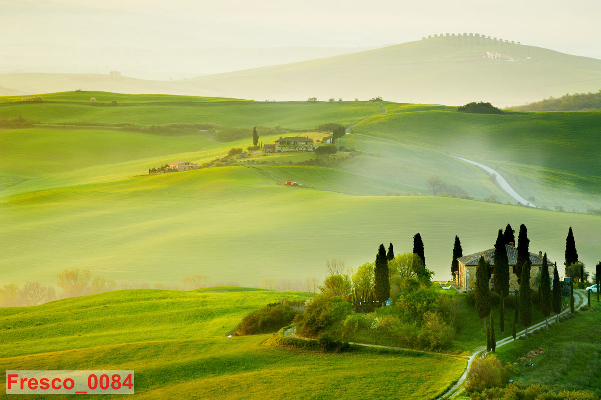 Fresco_0084